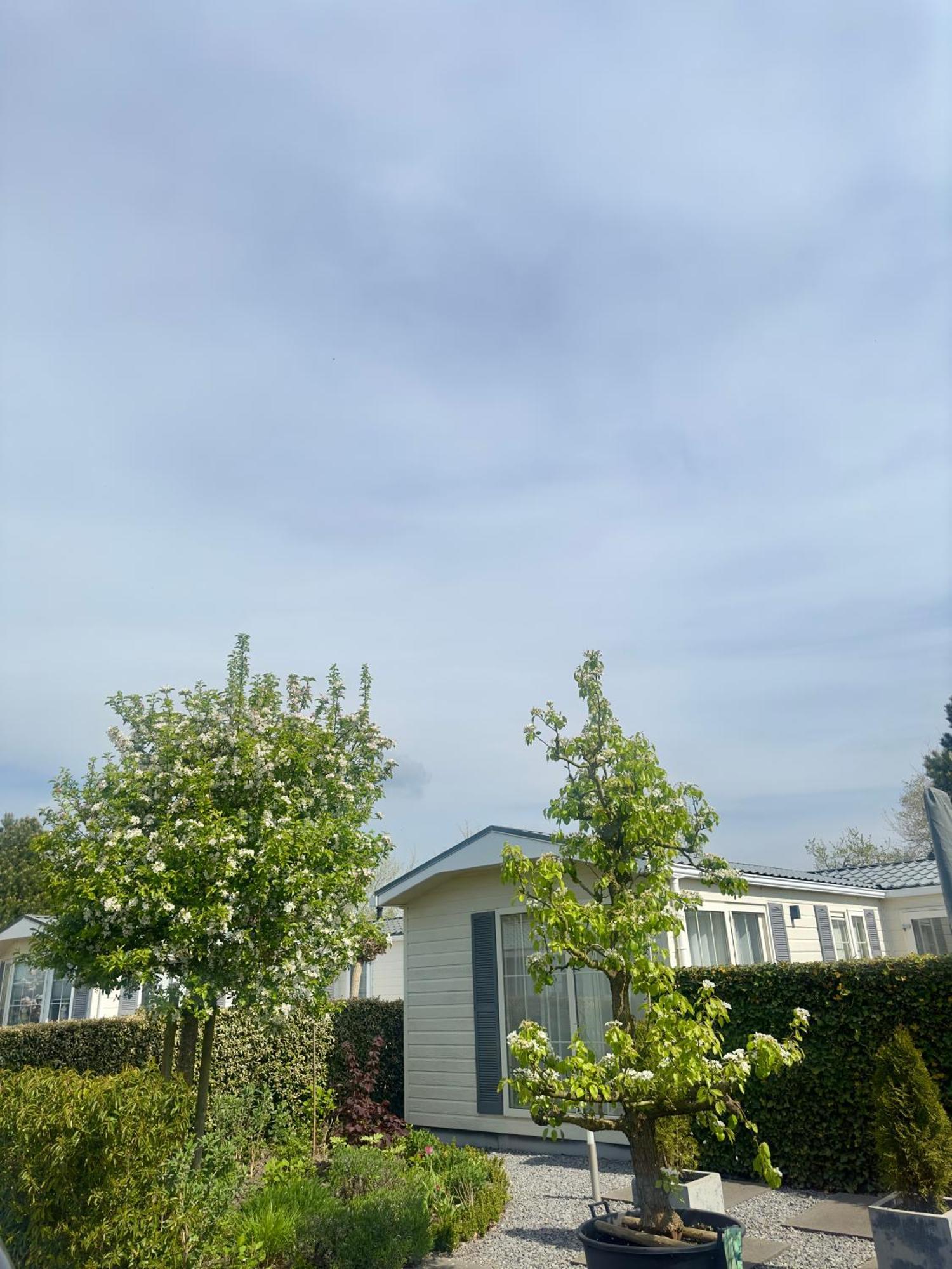 Chalet Sirun Strandcamping Valkenisse, Biggekerke Esterno foto